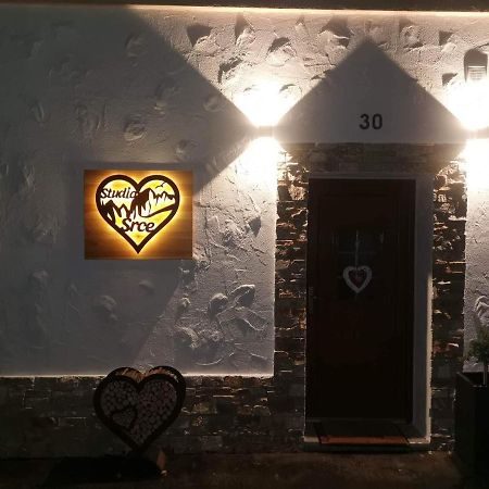 Studio Srce Краньска Гора Экстерьер фото